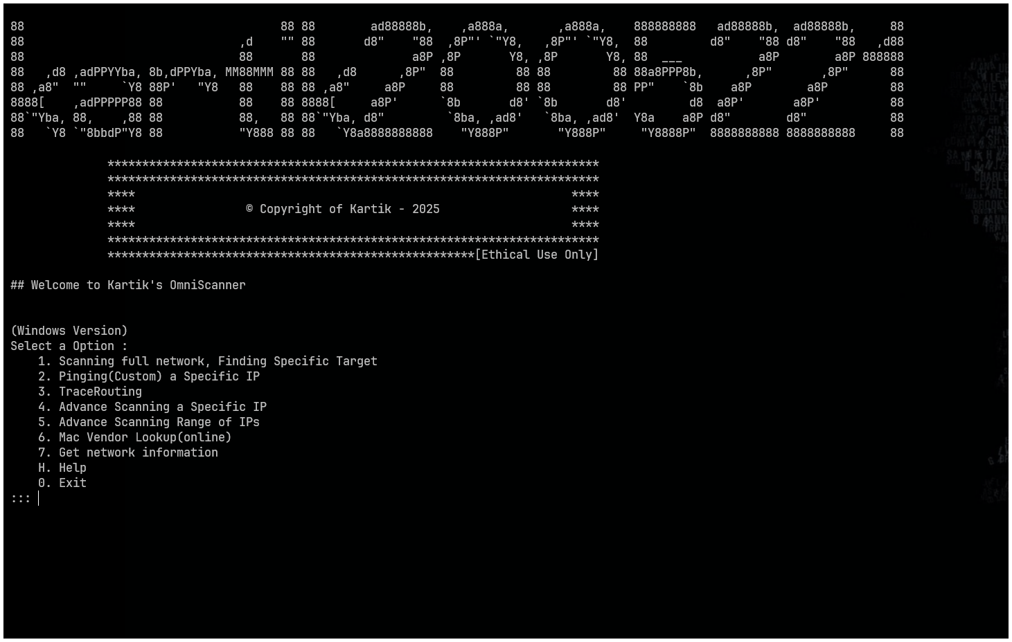 screenshot of grand theft coders website